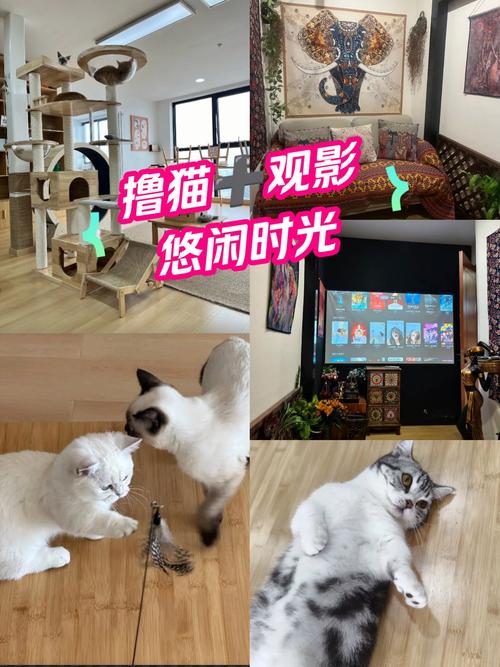依依影院手机版 - 最新热播剧免费在线看，高清无广告追剧神器