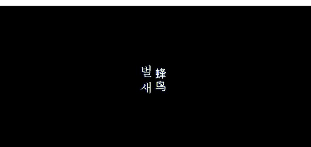 新视觉影院6080高清在线观看 - 最新电影免费追剧平台【无广告畅享6080画质】