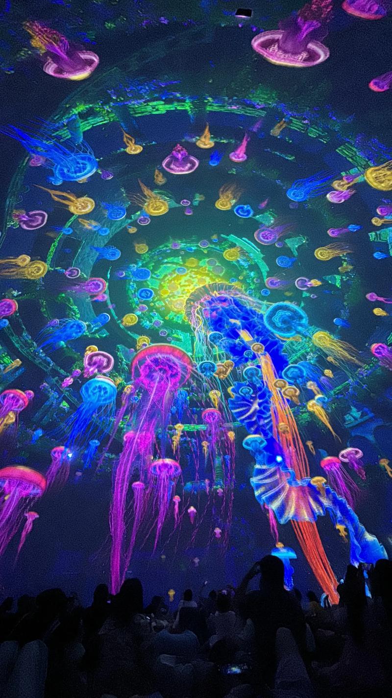 235影院在线观看 - 最新电影电视剧免费高清播放平台，海量资源极速缓存