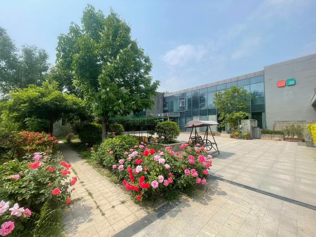 东京热精油按摩全身舒缓体验：专业日式精油SPA、深层肌肉放松、精油推背减压