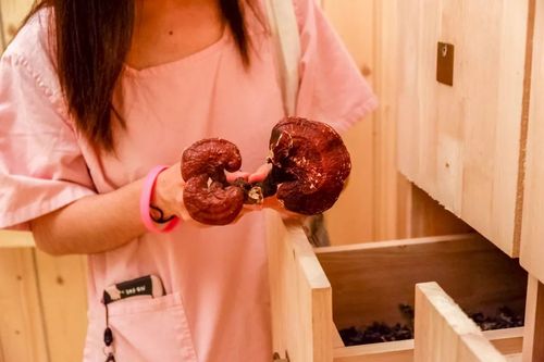 午夜dj影院免费视频完整版下载 - 高清资源在线观看与无损音质获取指南