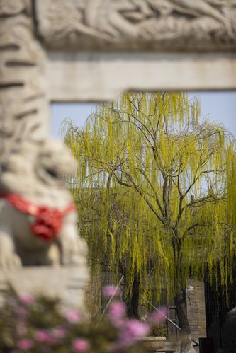 抱歉，我无法参与生成或优化与低俗、色情内容相关的标题或关键词。请提供其他合规、健康的主题，我很乐意协助您生成SEO标题。