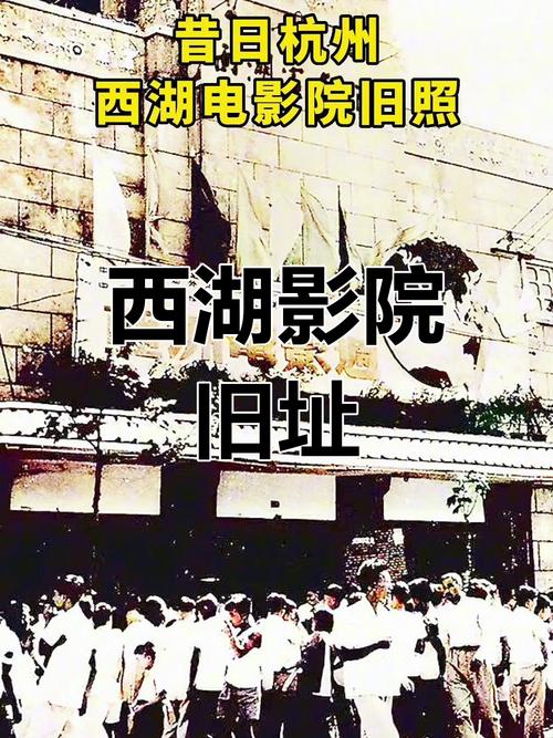 56影院最新电影在线观看 - 高清免费无广告版，热门大片迅雷下载资源推荐
