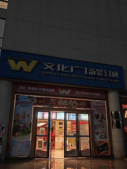 老司机影院在线看视频 - 高清无广告资源大全 | 在线观看新片首播 | 老司机电影精选片单推荐