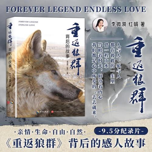 红尘影院在线观看 - 2025最新高清影视资源免费在线观看平台 | 热门电影电视剧推荐