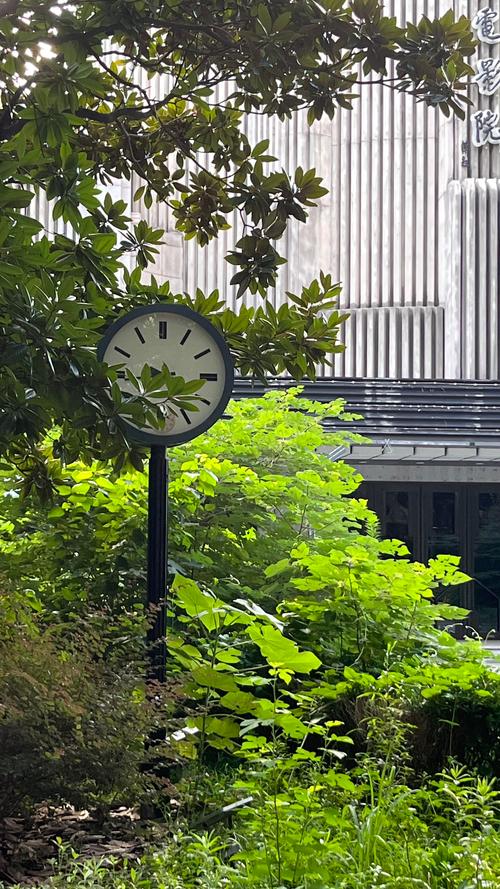兰若寺影院 - 在线免费观看最新电影、热门影视剧及蓝光高清资源
